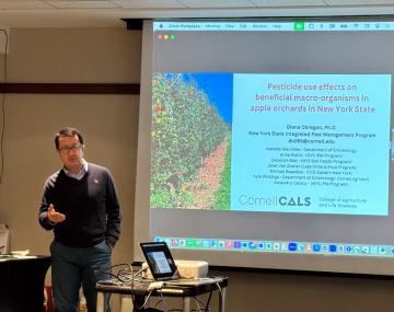 person in front of a screen with a presentation slide on it