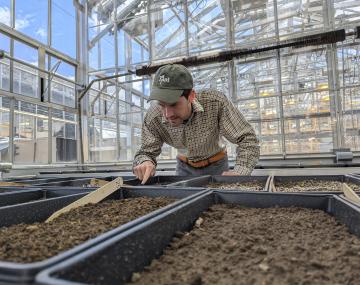 Bryan Brown leaning over a table of seedling flats filled with dirt and no apparent growth.