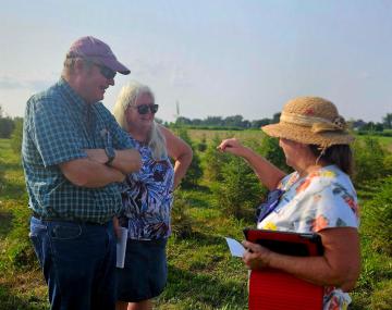 person in a sun hat with an iPad under her arm showing pine needles to two other people in a Christmas tree field
