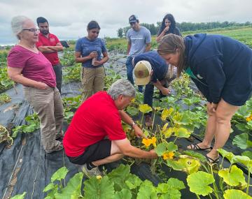 a group of people inspecting squash plants