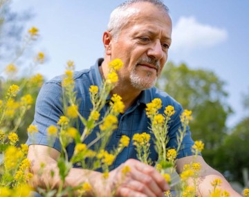 person in a blue shirt n a field of yellow and green flowers