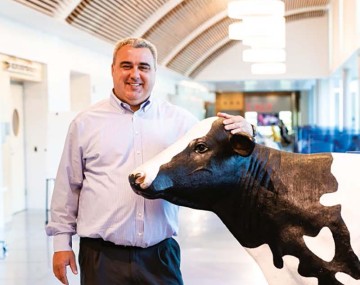 person in a white shirt standing next to a statue of a Holstein cow