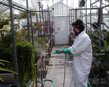 CALS OEH Pesticide Application