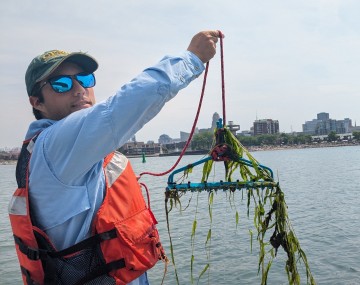 Photograph of a map wearing a hat sunglasses and an orange lifejacket holding up a rake with green aquatic plants on it with a river and city in the background.