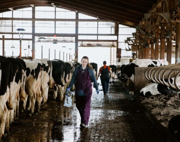 a woman walks down an aisle in a dairy barn