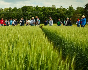 people stand in a barley field