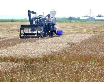 Tractor Riding on Musgrave Farms