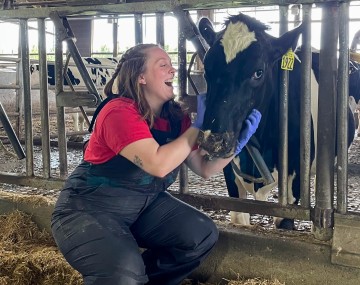 a woman laughs as she pets a cow in a barn