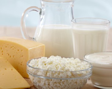 dairy foods fluid cheese