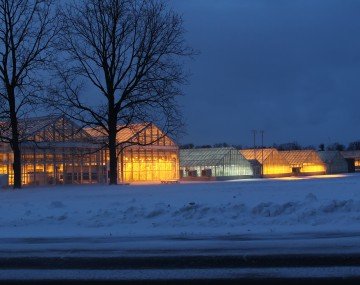 Lit greenhouse range during a snowy winter night