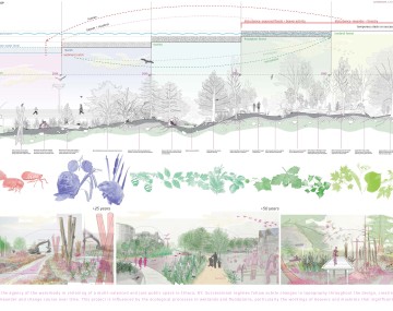 Sprague Jemec Cut Meander Biennial