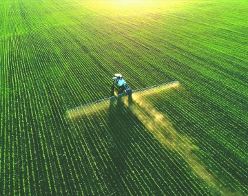 Aerial view of a tractor spraying crops across a large green agricultural field, with sunlight casting long shadows and highlighting the neat rows of plants.