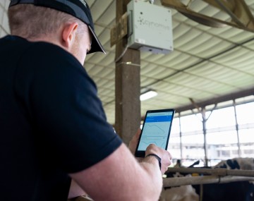 a man looks at data on a phone in a barn