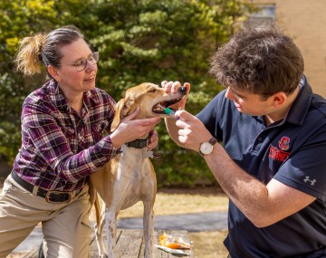 a woman holds a dog while a man swabs the dog's mouth