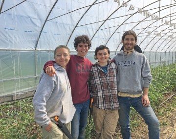 four students in a high tunnel