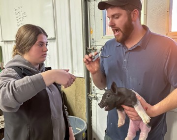 a woman talks with a man who is holding a piglet