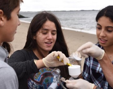 Students collecting samples by a body of water