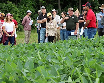 field day soybean field