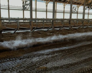 Solids bedding on a dairy farms