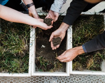hands in a soild bed