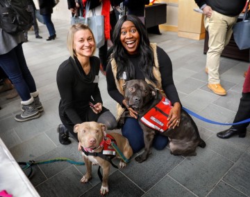 two people smiling with two dogs