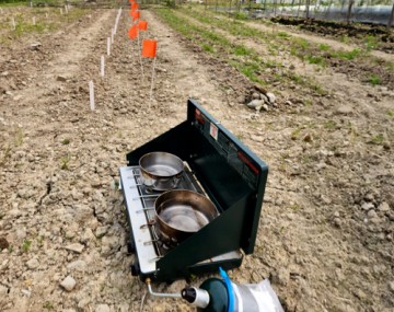 A dark green, two-burner portable camp stove sits on dry, cloddy soil in an open agricultural field. Two metal pots containing clear liquid, likely water, rest on the stove's grates. A small green propane cylinder is connected to the front of the stove. Behind the setup, tilled rows stretch into the distance, marked in lines by small white stakes and bright orange wire flags.