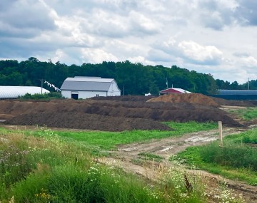 A wide view of a farm landscape under a cloudy sky. In the foreground, a muddy dirt track cuts through green grass and wild white flowers. Behind this are several large, long windrows of dark brown compost or soil, alongside a lighter brown pile. In the background sit various farm structures, including a white barn with a gray roof, a smaller red-roofed building, and white high tunnels, all backed by a dense green treeline. Clothes hang on a line next to the white barn.