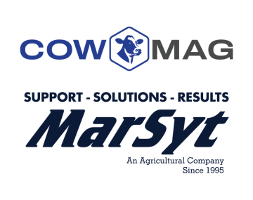 marsyt logo