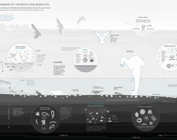 Littoral Futures 1